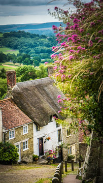 Old English limestone houses with thatched roofs with green fields countryside in the background. Gold Hill houses on a cloudy day behind flowers in Shaftesbury, Dorset, UK. Photo with selective focus