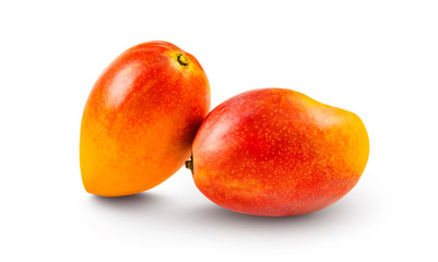 Composition de 2 mangues Américaine sur fond blanc