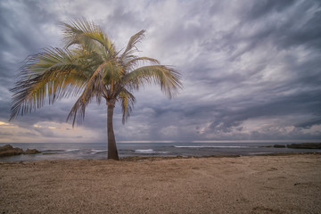 Obraz premium Tropical Storms