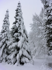 Massive snowfalls in Freiberg/Saxony/Germany, 10.01.2018