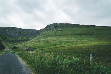 landscape path