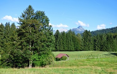 Landschaft im bayrischen Allgäu