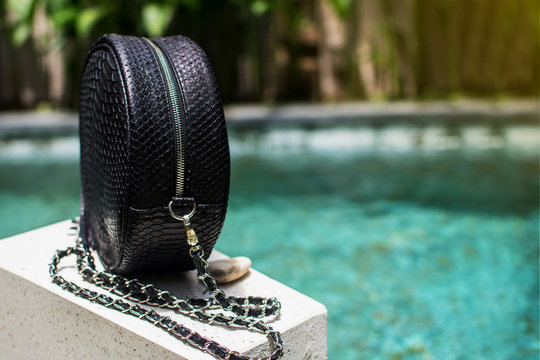 Fashionable Black woman bag. Close up of stylish female snakseskin python luxury bag outdoors. Fashionable and high style expensive female bag. Stylish accessories. Free, empty place for text or logo