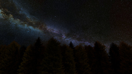 Picture of Galaxy Behind the Trees