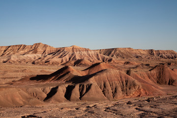 Painted landscape forms
