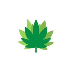 Marijuana leaf logo icon graphic design template