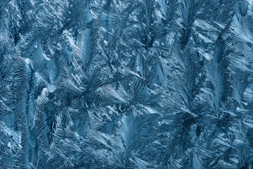 Texture of artificial ice crystals grown on glass surface