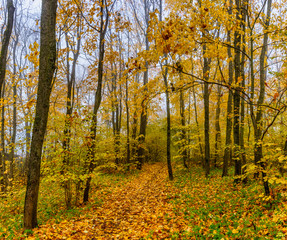 Upland Park is a landscape Park occupying the Orekhovaya mountain (174.2 m) at the Duderhof heights in Krasnoselsky district of St. Petersburg.