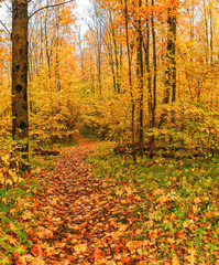 Upland Park is a landscape Park occupying the Orekhovaya mountain (174.2 m) at the Duderhof heights in Krasnoselsky district of St. Petersburg.