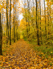 Upland Park is a landscape Park occupying the Orekhovaya mountain (174.2 m) at the Duderhof heights in Krasnoselsky district of St. Petersburg.