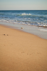 beach sea holidays