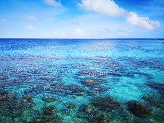 Fototapeta na wymiar Top view of the sea with the coral reefs at Maldives island.