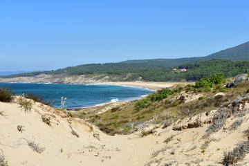 Naklejka na ściany i meble Beach with forest, big sand dunes with vegetation and blue sea with waves and foam. Blue sky, sunny day. Galicia, Spain.