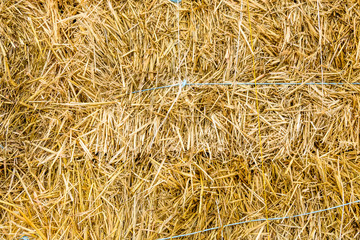 Texture of the dry hay for the background