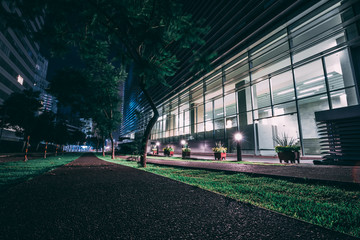 Night Cityscape Mexico