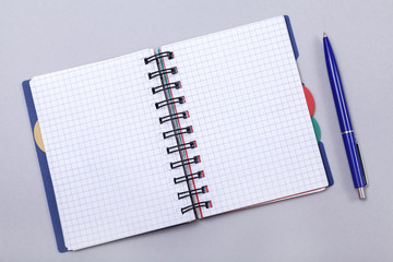 Overhead photo of an open journal notebook with a pen, top view, a diary on a gray background with a place for text © yana_kallas