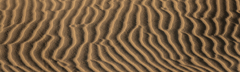 Abstract desert sand pattern shaped by low sunlight and wind formed ripples