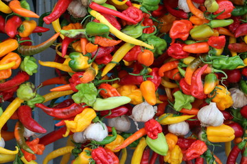 chili pepper on market