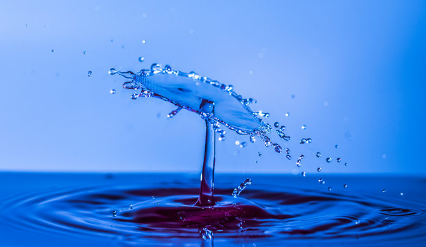 WATER SPLASH macro photography colision 