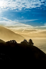 Silhouette of Mountain and Trees on Coast