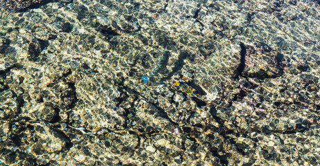 Pure clear water of coral reef in the Red Sea. Rest in Sharm el Sheikh, Egypt