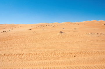 Fototapeta na wymiar Omani desert - Sultanate of Oman