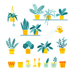 Set of indoor folliage plants, houseplant care, growing and watering in flat style