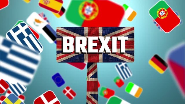 Multinational flags video