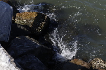 Rocks wave