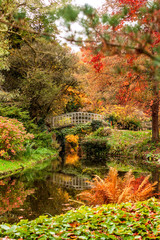 The river in the middle of the autumn park