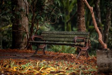 Old vintage park bench