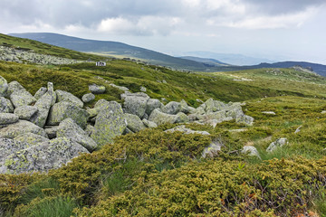 Summer Landscape From Hiking trail for Cherni Vrah peak at Vitosha Mountain, Sofia City Region, Bulgaria