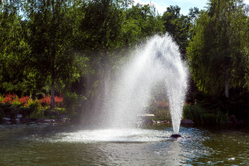 Fototapeta na wymiar A pond with water and a fountain spraying a stream of water in the background garden with trees sunny backlight.