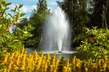 Naklejka premium A fountain sprays water up above a pond in the foreground bushes with blossoms and branches of trees in the focus and on the plan a forest with trees.