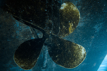 A screw ship under water