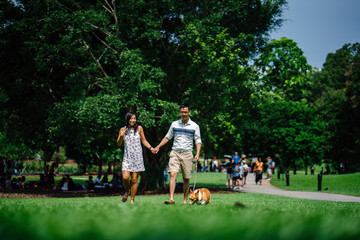 Fototapeta premium Portrait of a young Asian couple walking their corgi dog in the park during the day. The corgi is small and cute. 