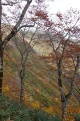 Fototapeta premium 山