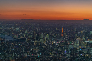 Fototapeta premium 東京タワーと都心の夜景 空撮