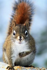 Ready for my close up