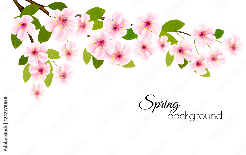 Poster spring nature background with a pink blooming sakura. vector.