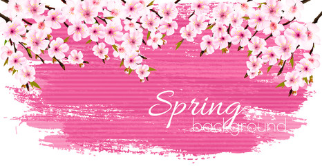 Fototapeta premium Spring nature background with a pink blooming sakura. Vector.