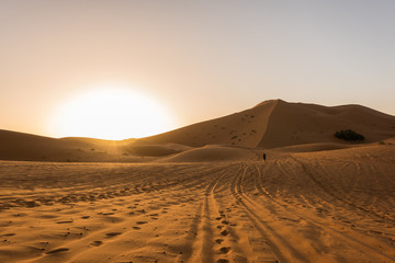 Fototapeta na wymiar Beautiful sunrise view of the Erg Chebbi dunes, Sahara Desert, Merzouga, Morocco in Africa