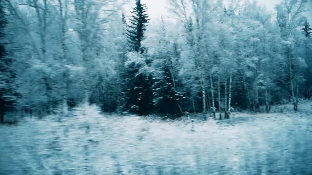 view of the winter forest from the window of a moving train