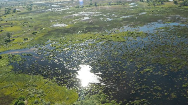 Wildlife aerial Okavango Delta Botswana Africa
