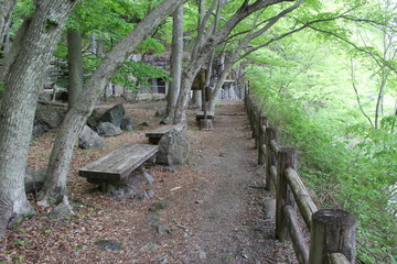 龍王峡・紫龍渓の自然探求路