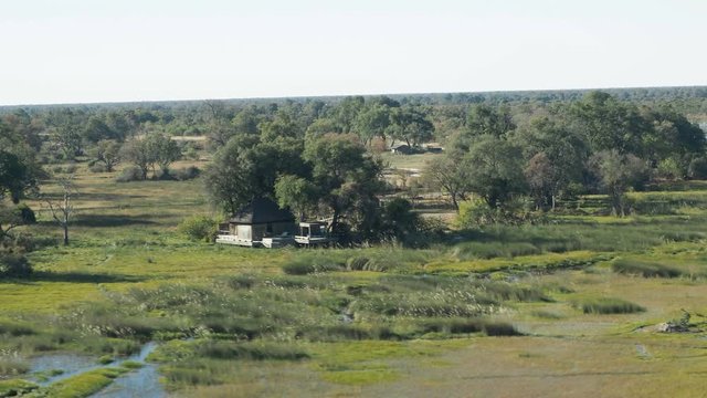 Wildlife aerial Okavango Delta Botswana Africa