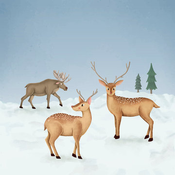 Hand-drawn two fallow deer and a moose on a snow-covered ground