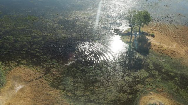 Wildlife aerial Okavango Delta Botswana Africa