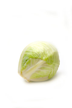 cabbage head on white background