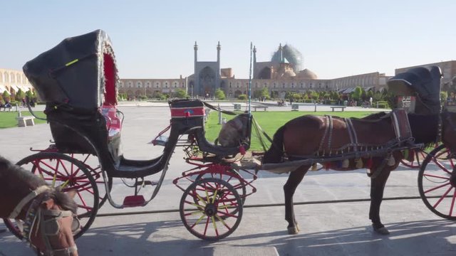 Horse and buggy in Naqsh-e Jahan Square, Isfahan, Iran